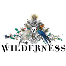 Wilderness Festival
